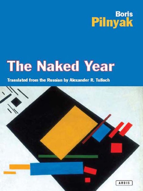 Cover image for book The Naked Year