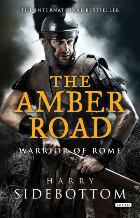 Cover image for book The Amber Road