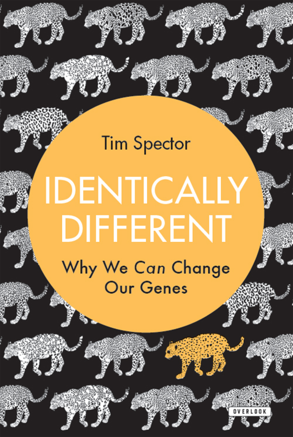 Identically Different (eBook)