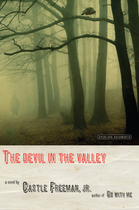 Cover image for book The Devil in the Valley