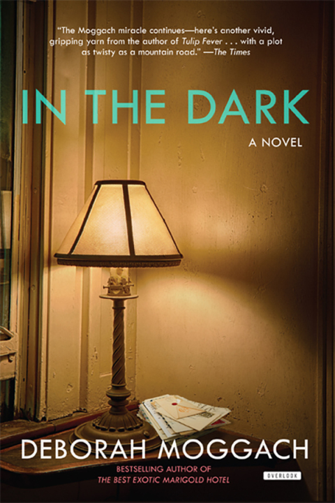 Cover image for book In The Dark