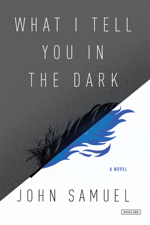Cover image for book What I Tell You in the Dark