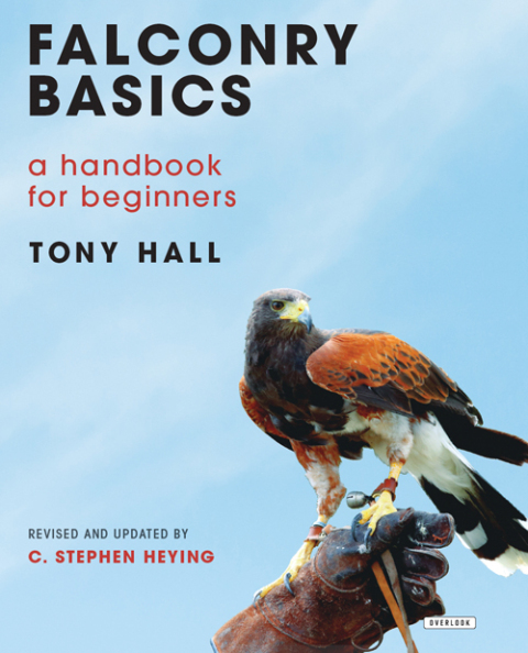 Cover image for book Falconry Basics