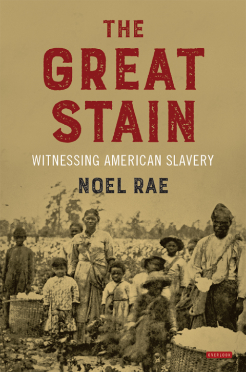 Cover image for book The Great Stain