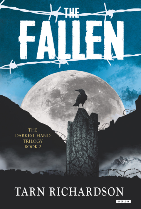 Cover image for book The Fallen