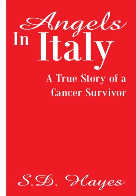 Cover image for book Angels in Italy
