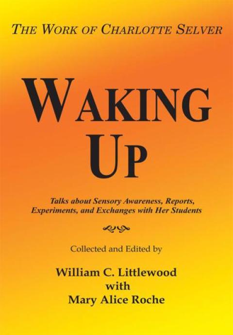 Cover image for book Waking Up