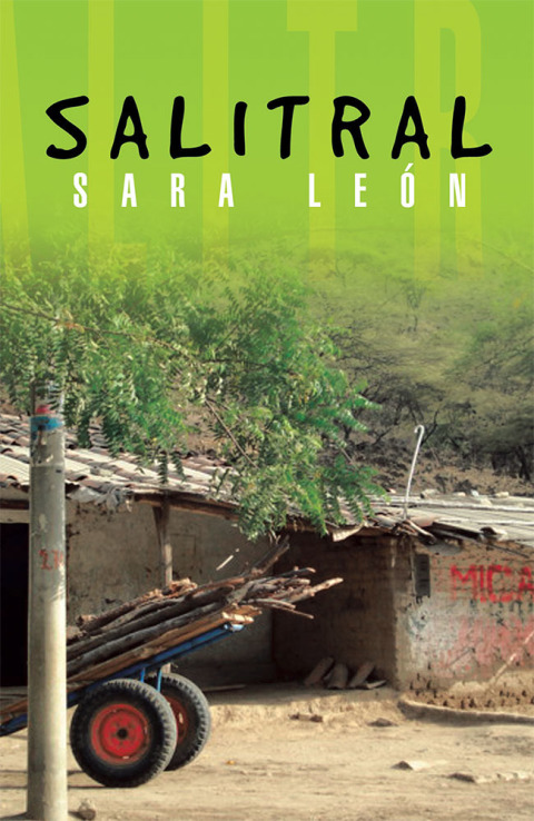 Cover image for book Salitral