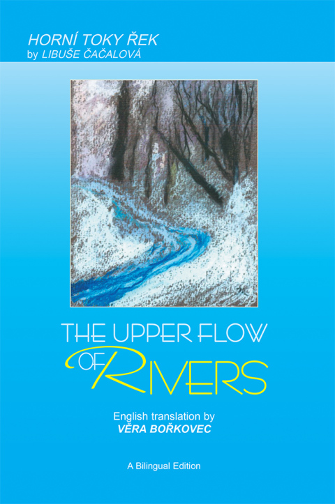 Cover image for book The Upper Flow of Rivers