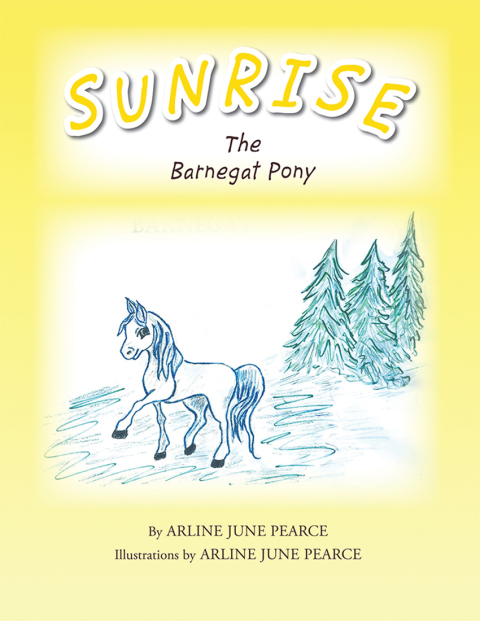 Cover image for book Sunrise the Barnegat Pony