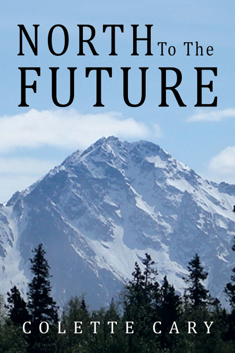 Cover image for book North to the Future