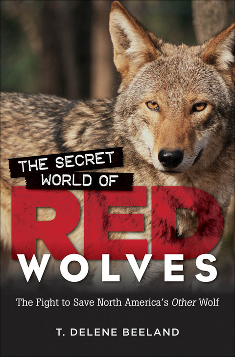 Cover image for book The Secret World of Red Wolves