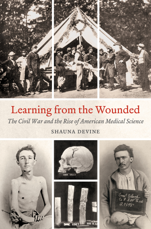 Cover image for book Learning from the Wounded