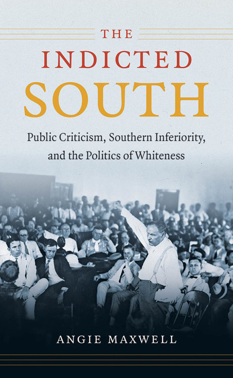 Cover image for book The Indicted South