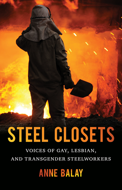 Cover image for book Steel Closets