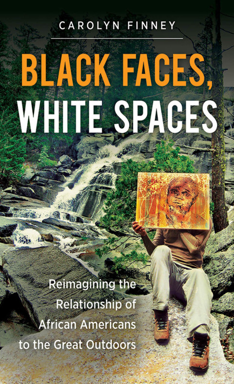 Cover image for book Black Faces, White Spaces