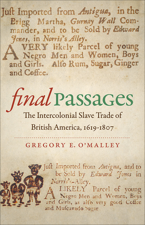 Cover image for book Final Passages