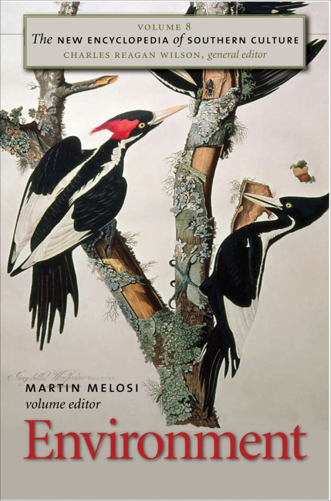 Cover image for book The New Encyclopedia of Southern Culture
