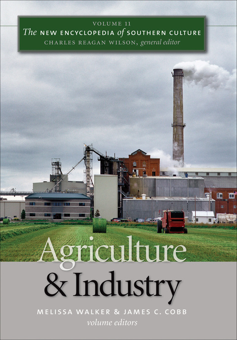 Cover image for book The New Encyclopedia of Southern Culture