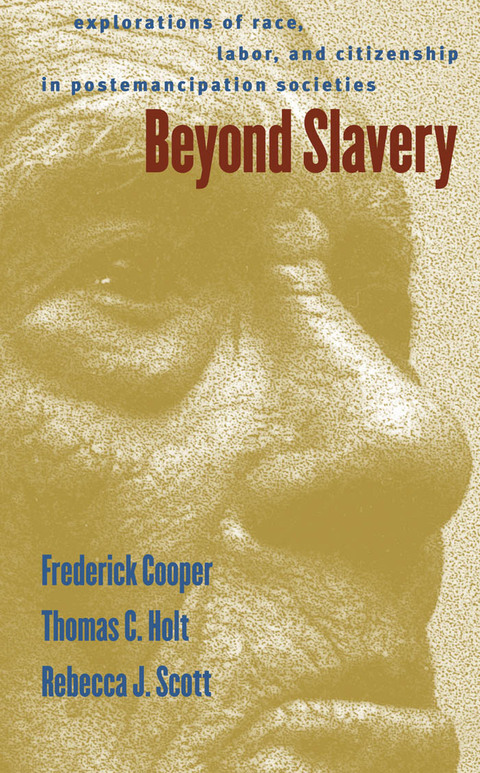Cover image for book Beyond Slavery