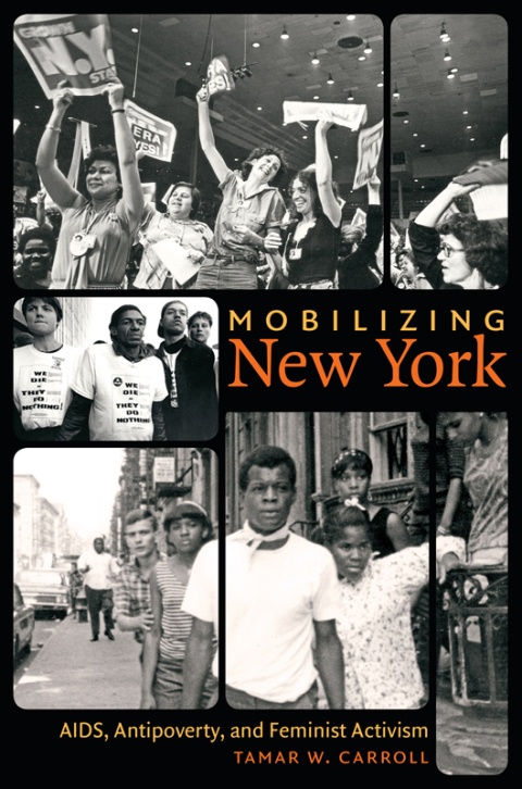 Cover image for book Mobilizing New York
