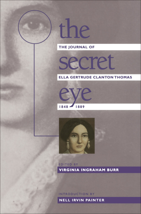 Cover image for book The Secret Eye
