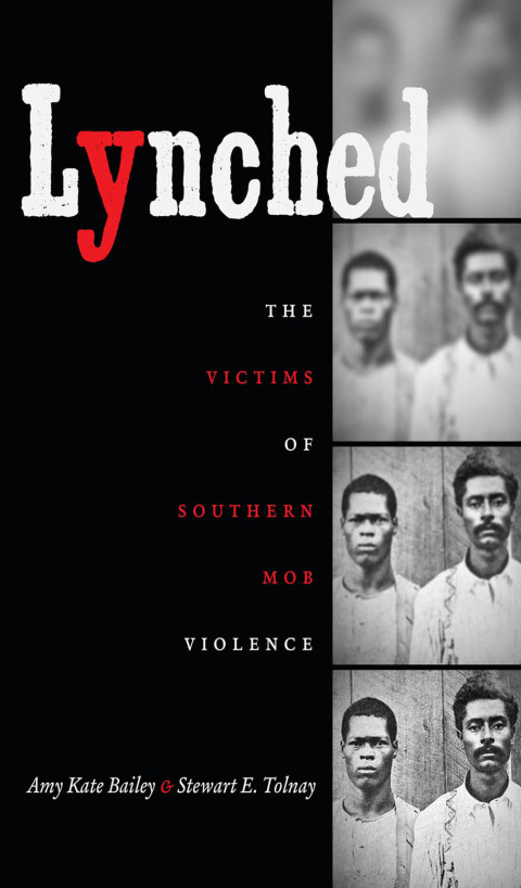 Cover image for book Lynched