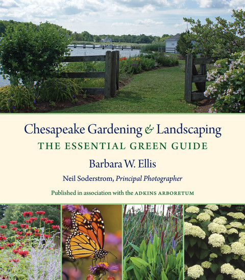 Cover image for book Chesapeake Gardening and Landscaping