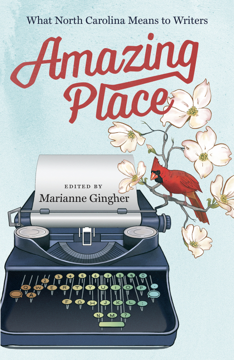 Cover image for book Amazing Place