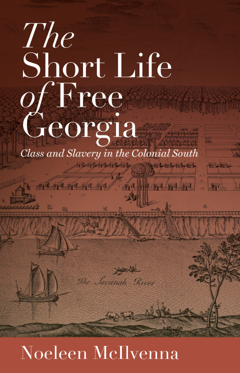 Cover image for book The Short Life of Free Georgia