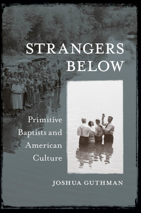 Cover image for book Strangers Below