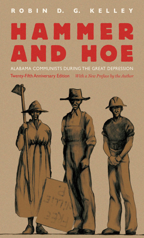 Cover image for book Hammer and Hoe
