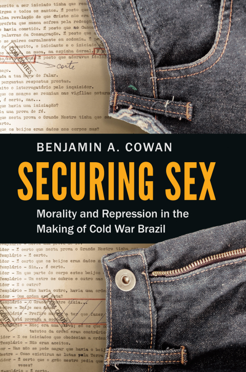 Cover image for book Securing Sex