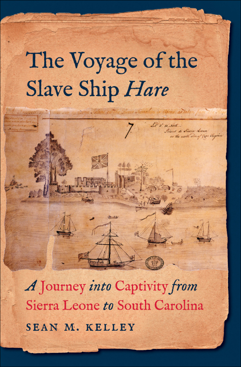 Cover image for book The Voyage of the Slave Ship Hare
