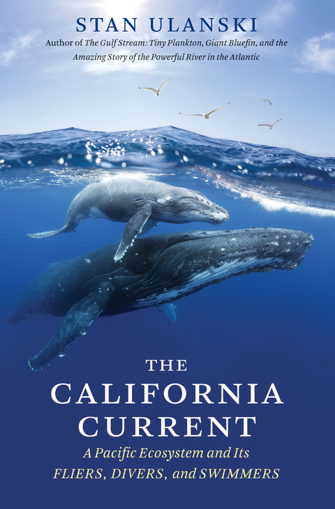 Cover image for book The California Current