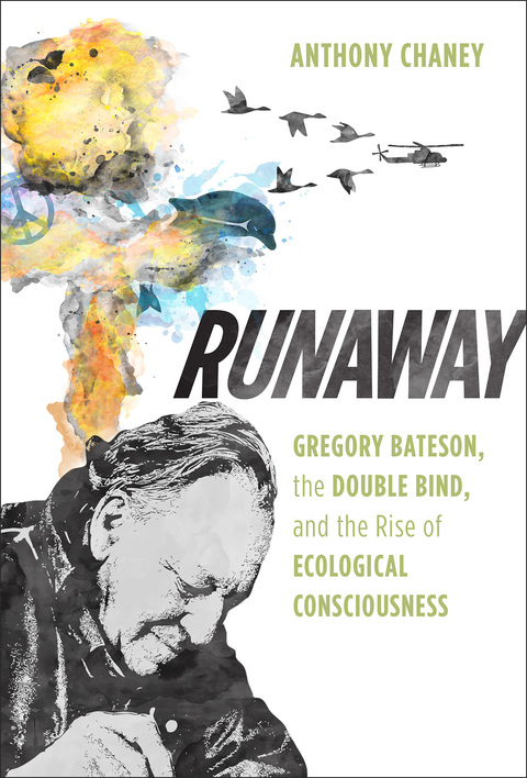 Cover image for book Runaway
