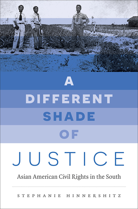 Cover image for book A Different Shade of Justice