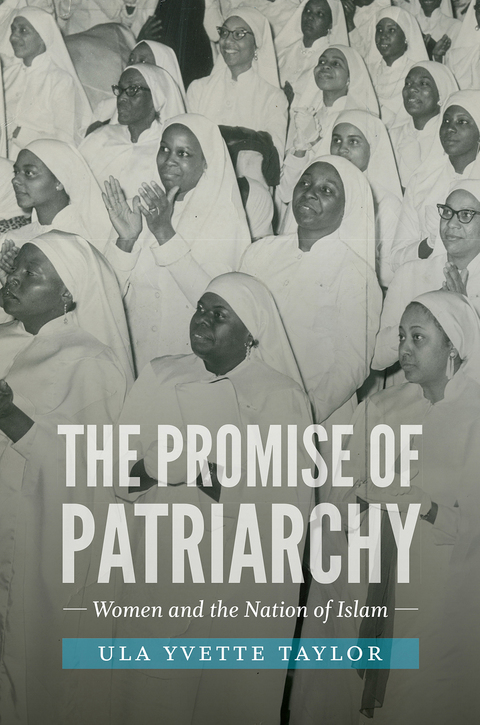 Cover image for book The Promise of Patriarchy