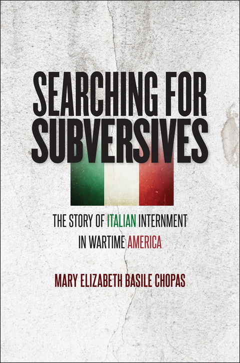 Cover image for book Searching for Subversives