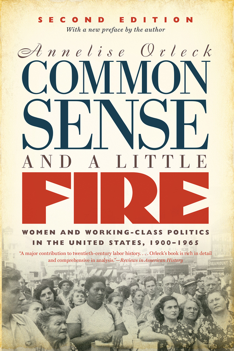 Cover image for book Common Sense and a Little Fire, Second Edition