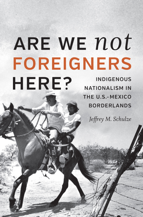Cover image for book Are We Not Foreigners Here?