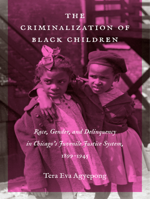 Cover image for book The Criminalization of Black Children