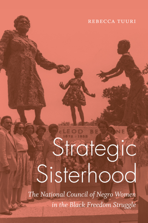 Cover image for book Strategic Sisterhood