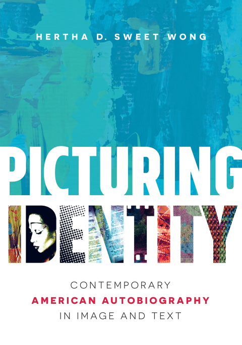 Cover image for book Picturing Identity
