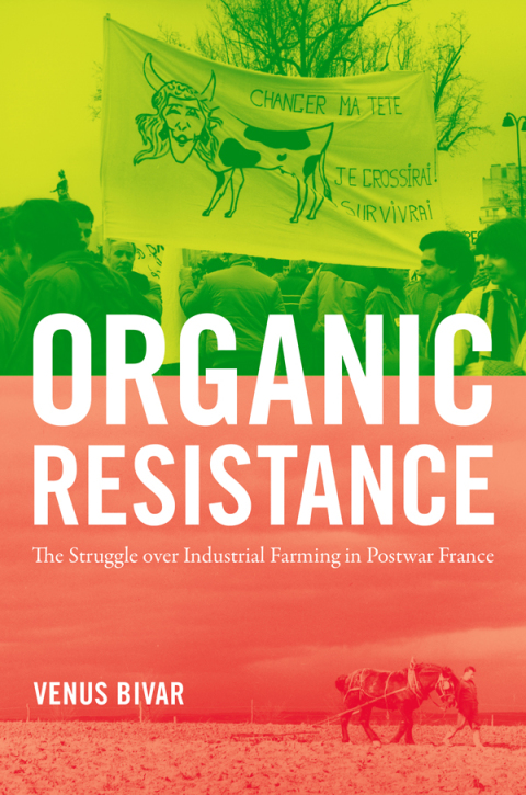 Cover image for book Organic Resistance