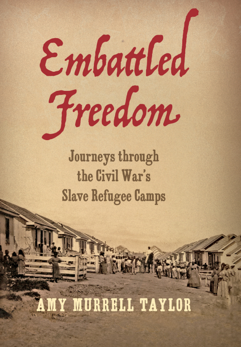 Cover image for book Embattled Freedom