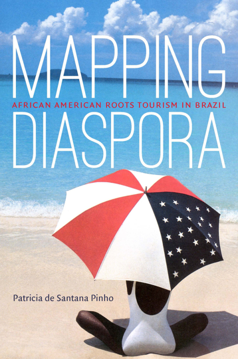 Cover image for book Mapping Diaspora