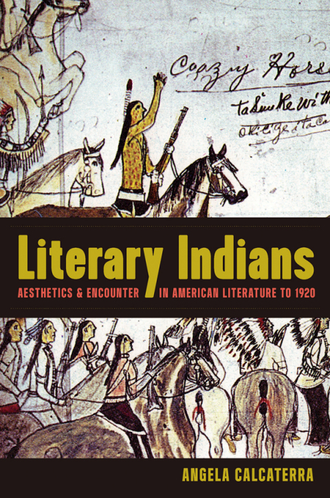 Cover image for book Literary Indians