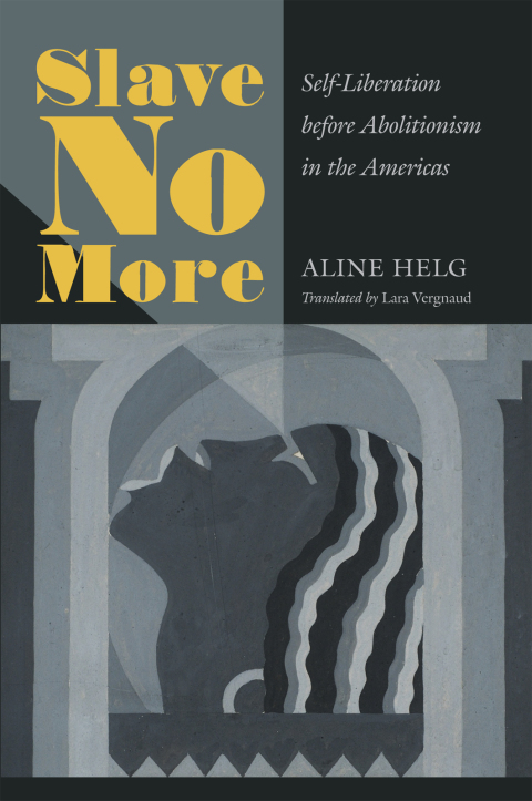 Cover image for book Slave No More