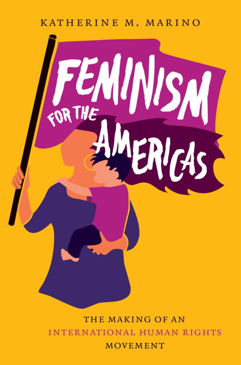 Cover image for book Feminism for the Americas